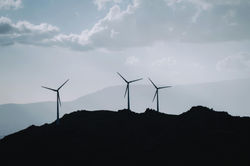 pexels-diogo-miranda-2044514-29226304