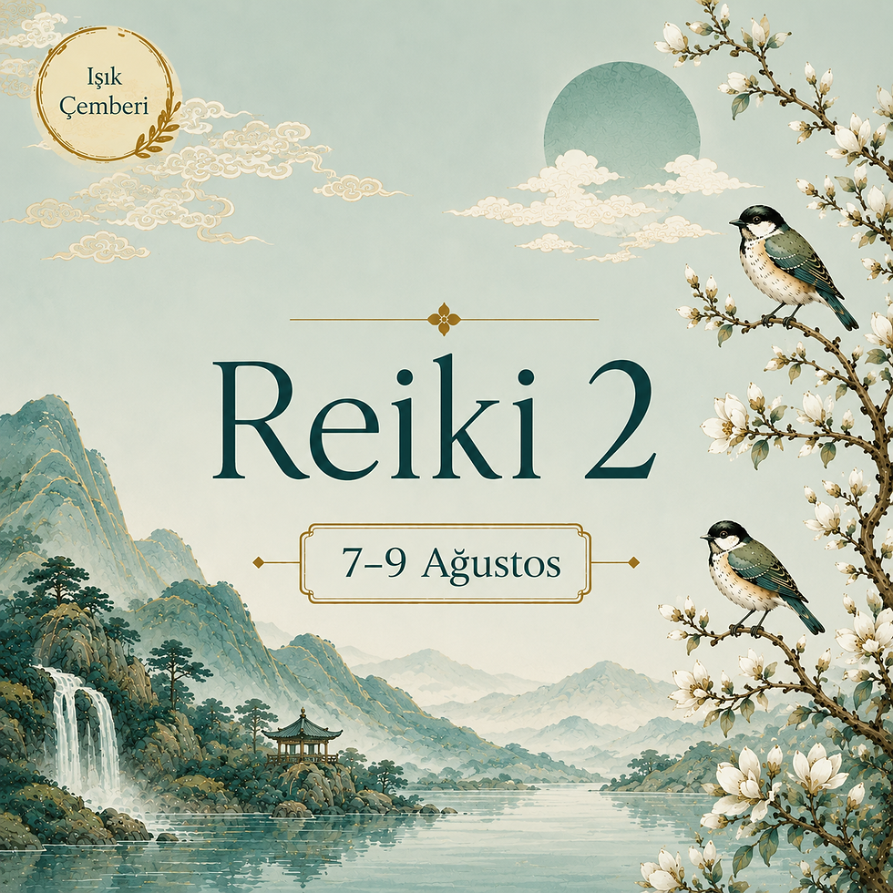 Reiki 2. seviye inzivalı grup programı