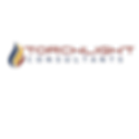 Torchlight Logo Lookbook (3).png