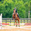 Thumbnail: Horse Show Gallery