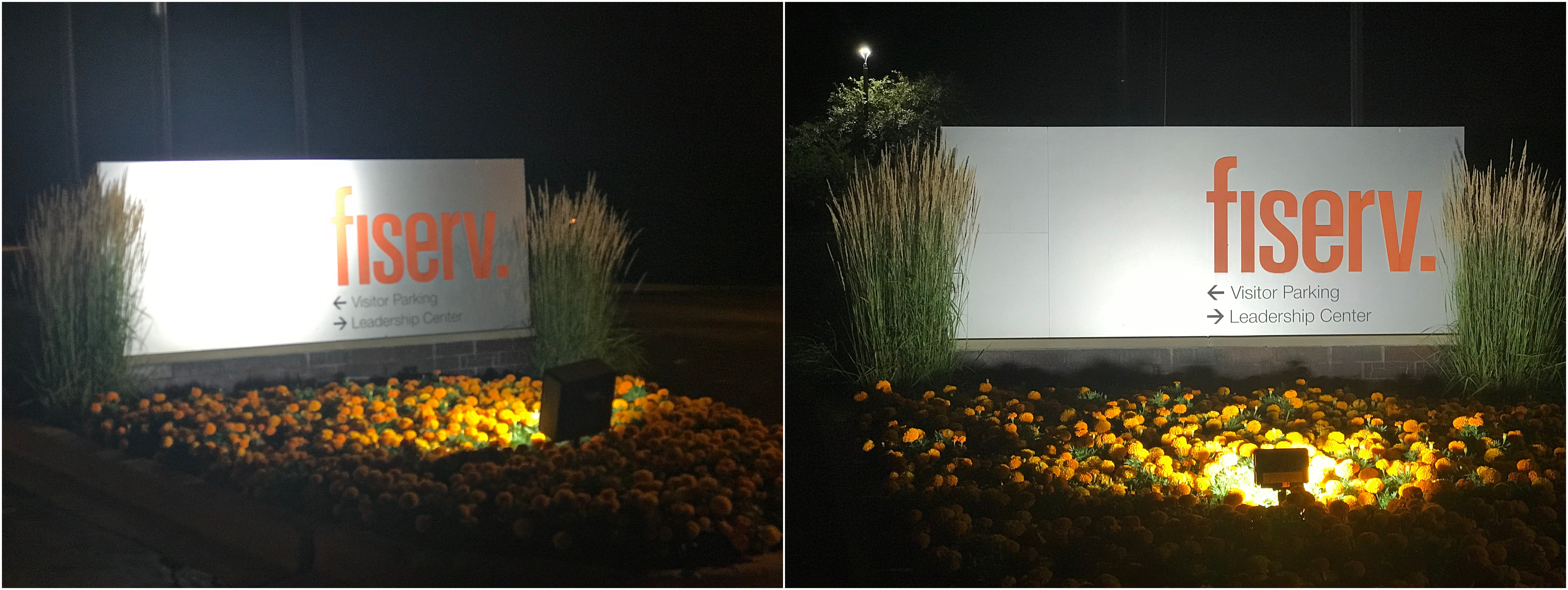 Signs, the first thing they see