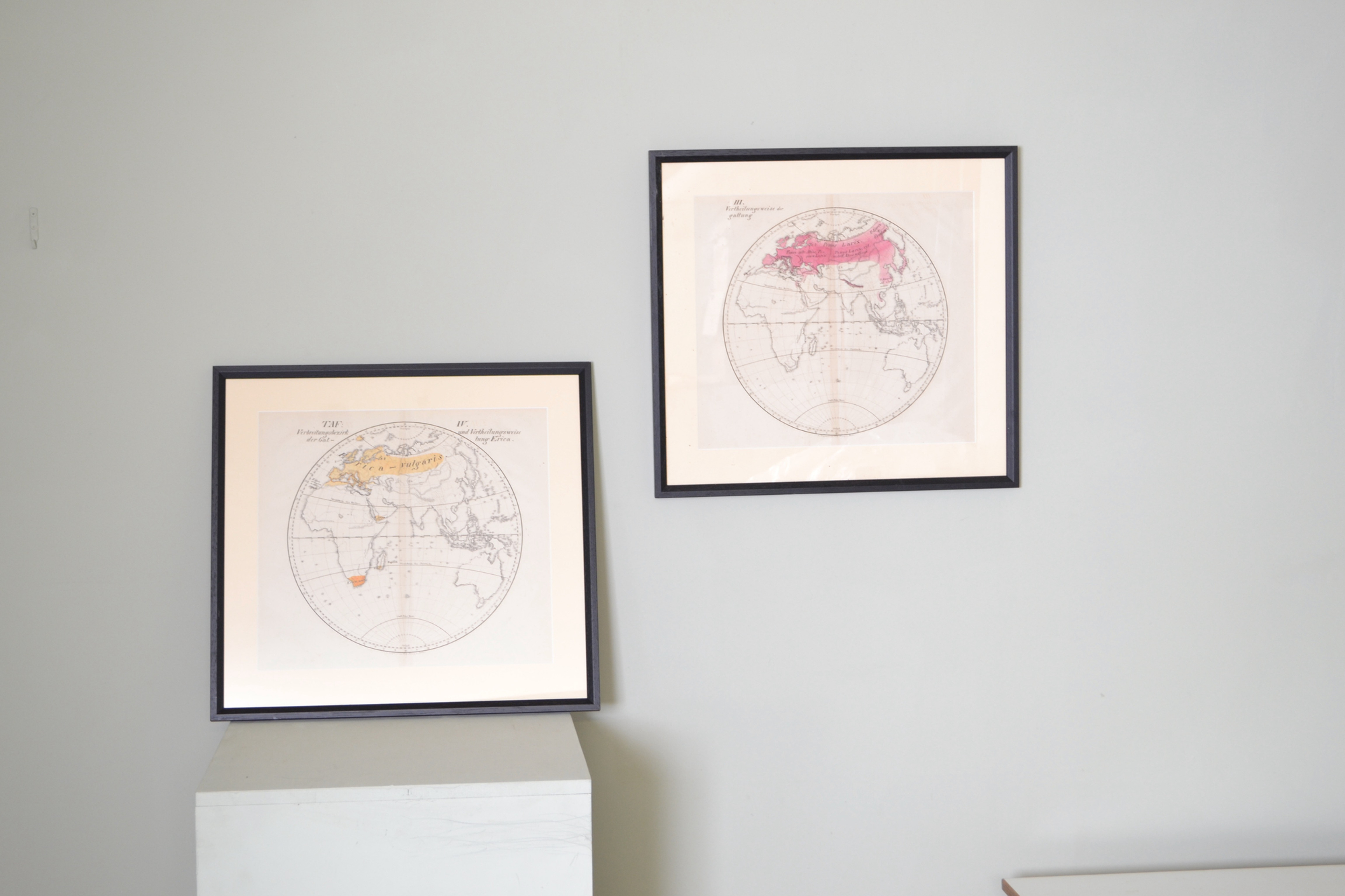 Late 19th century Globe prints