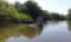 Canoeing Cuyabeno river