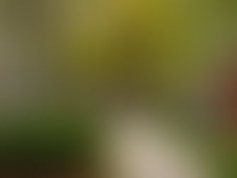 UMich quiet housing tips for students