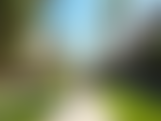 Things to Do Near LMU: Discover the Best of Westchester Living