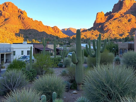 Living in Tucson with a UA living guide