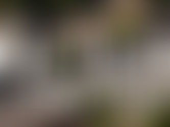 Victory East Lansing apartments near MSU guide