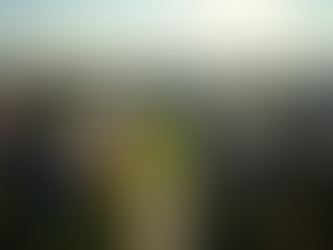 Advertise Rental Properties to University of Michigan Students: A Complete Landlord Guide