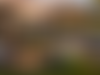 University of Colorado Boulder off campus housing guides Boulder living choices