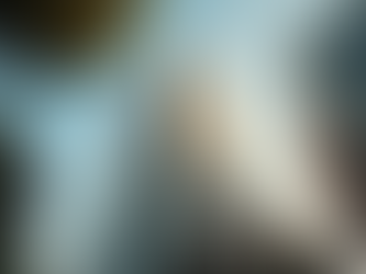 How USC Students Find Houses for Rent Near Campus with Friends