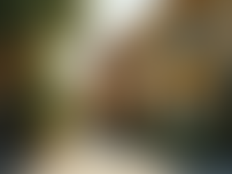 Living in Westwood: Extension Housing Alternatives for Students Near UCLA