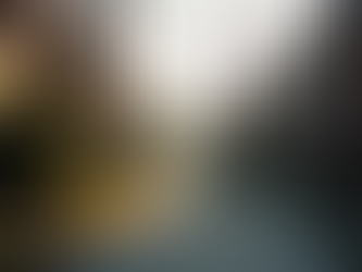 A Complete Guide to UW Student Housing in Ravenna Seattle