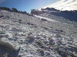 15110424_1310213719011940_19090191698018