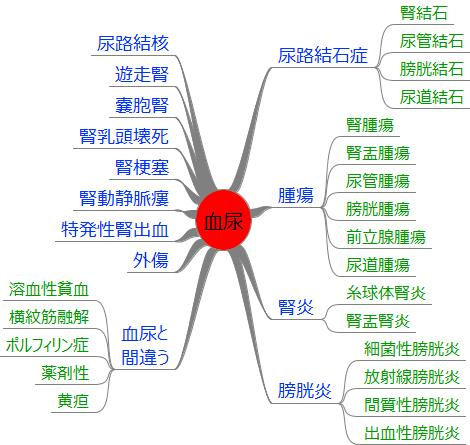 血尿.jpeg