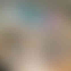 チャレンジショップ2号店の内装写真1「ぬーなん」と「絵描き文鳥やまゆりの」