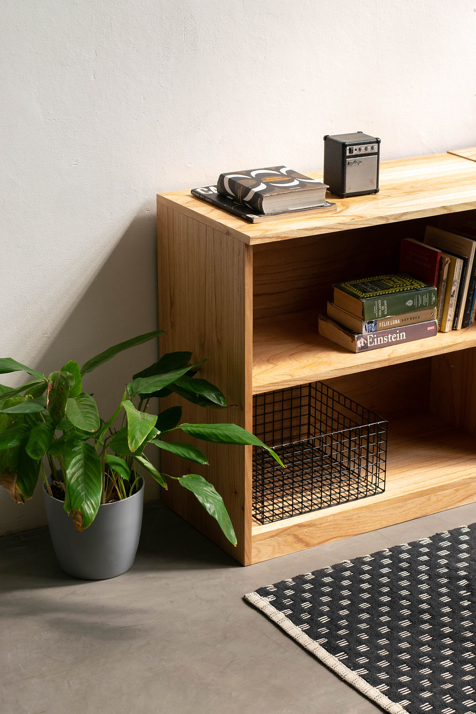 Miniatura: Modulo Wood Abierto