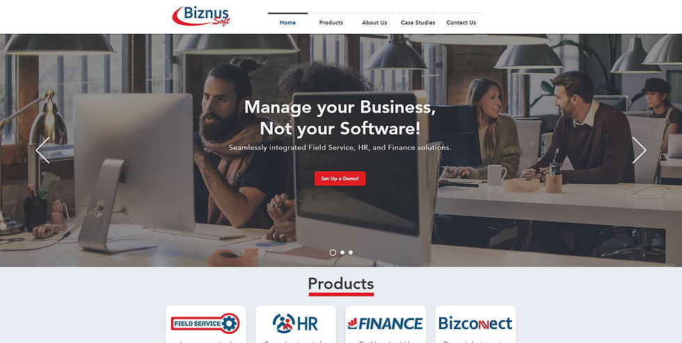 BiznusSoft Website