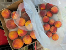 Don't Let Summer Slip Away: How to Can Fresh Peaches