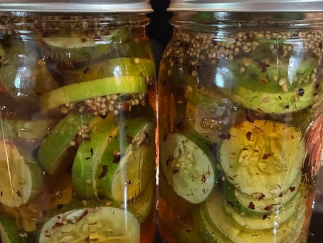 In My Defense, They Looked Like Pickles!