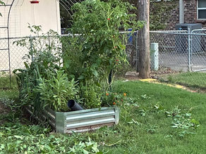 Pruning the Garden and the Soul