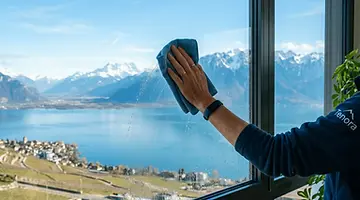 Lavage de vitres professionnel pour chalets et bureaux