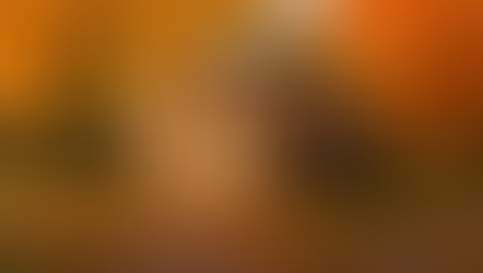 A New England library in fall