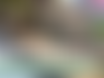 🌿 Tiny Gardens Have Arrived! Book Your Session Today!