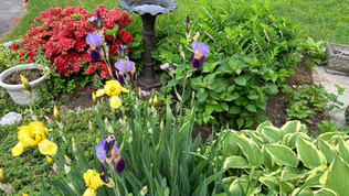 Message from Dave (and Brandi)