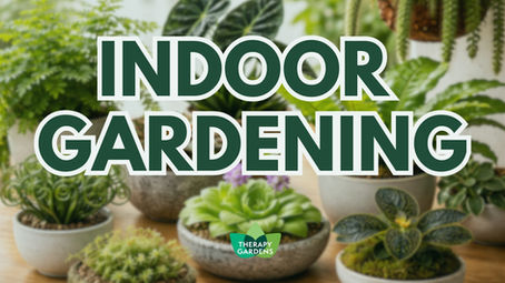 🌿 New for 2026: Indoor Gardening with Therapy Gardens
