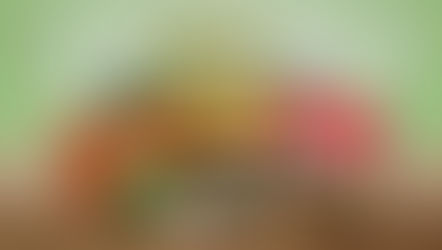 🌿 Bring Therapy Gardens to Your Group— Wherever You Are