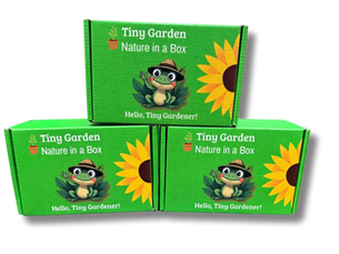 🌿Introducing Tiny Gardens – Big Fun in a Small Box