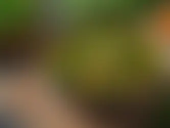 Wholesome and Hearty: 3 Superfood Soup Recipes for Health-Conscious Home Cooks