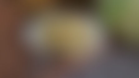 Plate of sauerkraut with a fork on woven mat. Cabbage and burlap in the background on a speckled countertop. Mood is rustic.