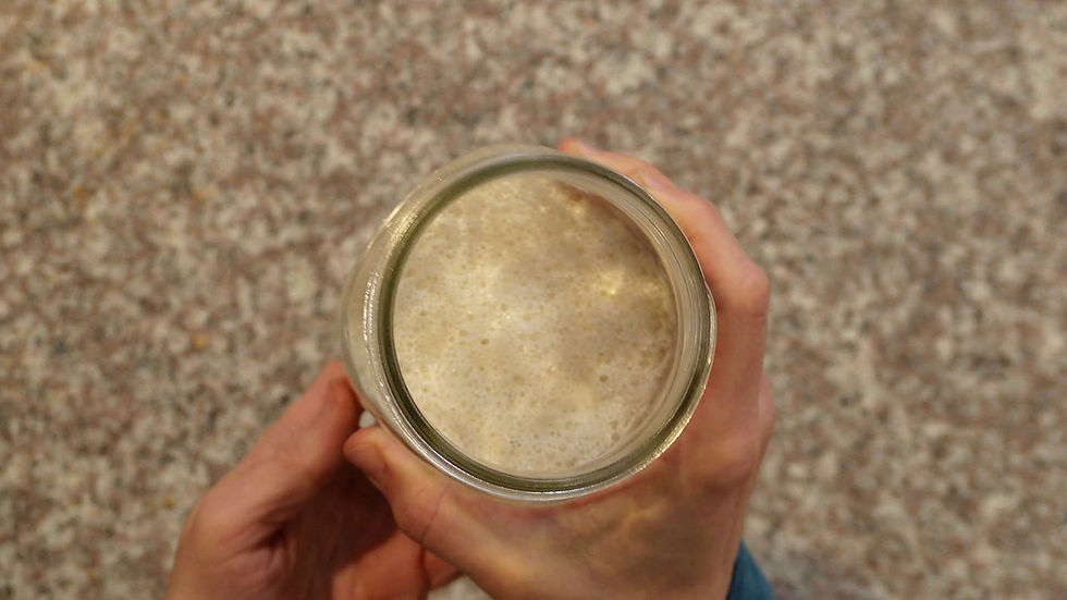 Hands hold a jar of bubbly sourdough starter over a speckled countertop. The mixture is foamy and light brown.