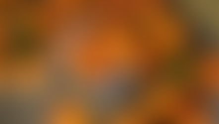 Fresh apricots in a white bowl on a textured mat. Whole and halved fruits with green leaves are scattered around, evoking a natural vibe.