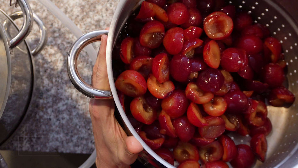 Hands holding a metal colander filled with halved red plums, set against a speckled countertop, creating a fresh and vibrant feel.