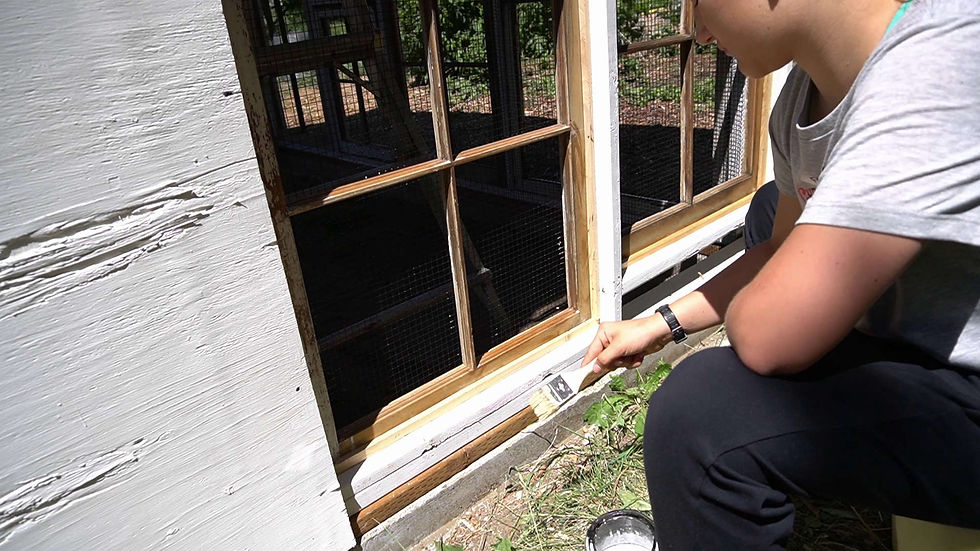 Person painting the white trim around an outdoor window frame on a sunny house exterior.