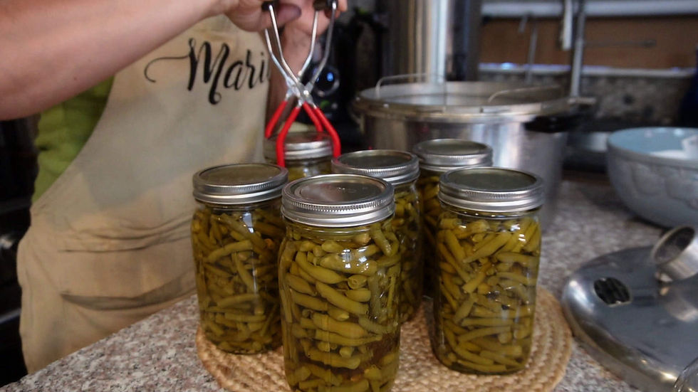 Person in apron using tongs over jars of pickled green beans on a kitchen counter, with pots and canning tools nearby.