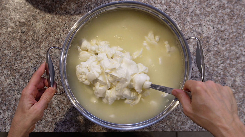 Hands stir curds in a metal pot on a speckled countertop. The curds are white, floating in a pale yellow liquid. No text visible.