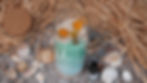Glass jar with layered sand, orange star candies, and mermaid tail. Surrounded by seashells on a straw mat. Bottle labeled "Mün" nearby.