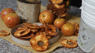 Dried apple slices on a plate, fresh apples nearby on burlap, a food dehydrator on the right, set against a speckled countertop.