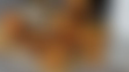 Dried apple slices on a plate, fresh apples nearby on burlap, a food dehydrator on the right, set against a speckled countertop.