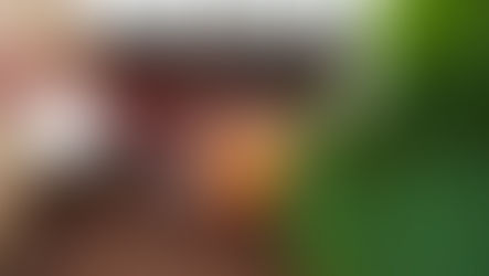 Wooden bowl with an orange and rhubarb stalks next to jars with metal lids. Large green leaf and burlap fabric in background.