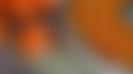 Oranges and orange peels on a counter; peels are in a green tray. Background includes a woven mat and green floral cloth.