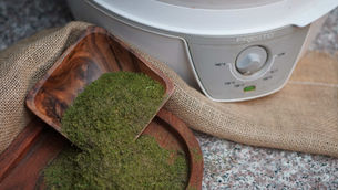 Wooden tray with green herbs next to a white dehydrator labeled "PRESTO," on a burlap cloth and speckled countertop.