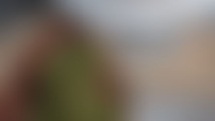 Wooden tray with green herbs next to a white dehydrator labeled "PRESTO," on a burlap cloth and speckled countertop.