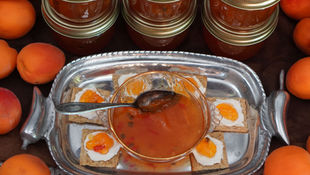 Crackers with cream cheese and apricot jam on a silver tray, surrounded by fresh apricots and jars of jam. Mood is appetizing.