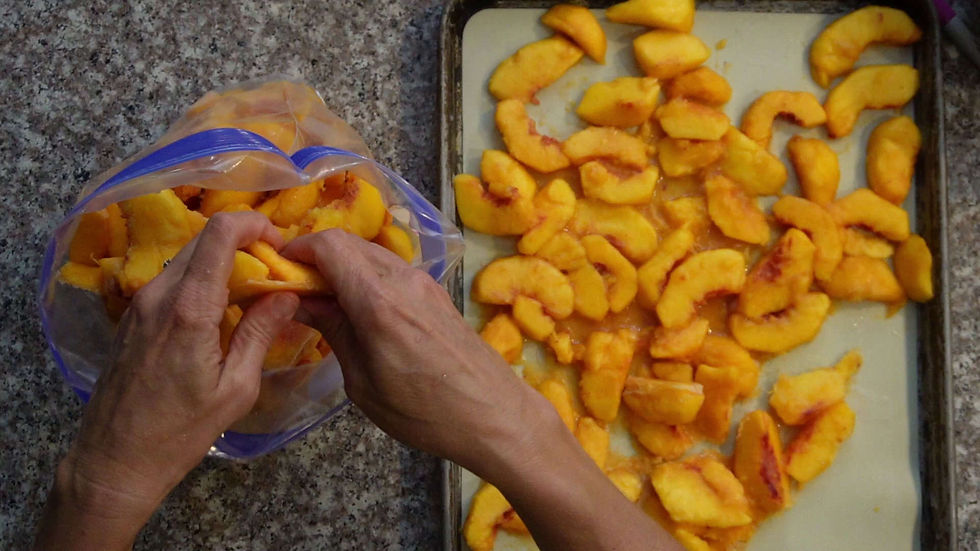 Hands placing sliced nectarines into a resealable bag on a speckled countertop. More nectarine slices rest on a baking sheet.