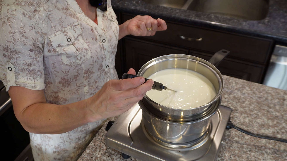 Person in a floral shirt checks cheese curds with a thermometer in a saucepan on a stovetop. Kitchen counter and sink in the background.