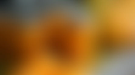 Jars of diced orange pumpkins on a table, surrounded by small whole pumpkins, creating an autumn harvest vibe.